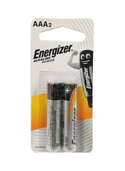 Energizer AAA Alkaline Battery, 2 Piece, Silver/Black