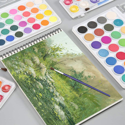Gaocheng Watercolour Paint Set, 36 Pieces, Multicolour
