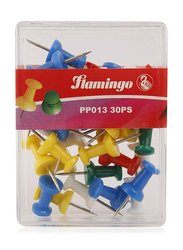 Flamingo Plastic Thumb Pins Tablet Case, Clear