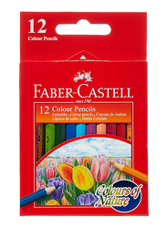 فابر كاستل أقلام تلوين، 12 قطعة، متعدد الألوان