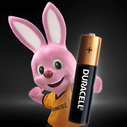 Duracell Type AAA Alkaline Batteries, 12-Piece, Gold/Black