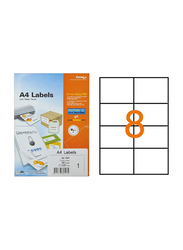Formtec FT-GS-1208 Labels, 105x74mm, 100 Sheet, Clear