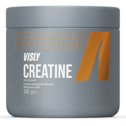 Visly Creatine 300 Grams Watermelon