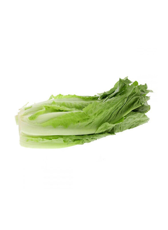 

Desert Fresh Romain Lettuce Iran, 250g
