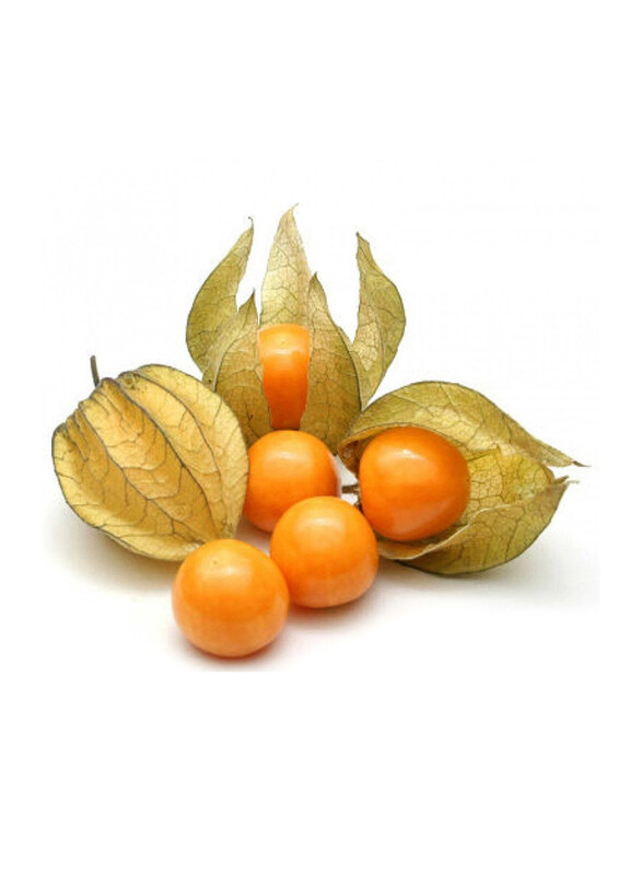 

Desert Fresh Physalis Colombia, 125g