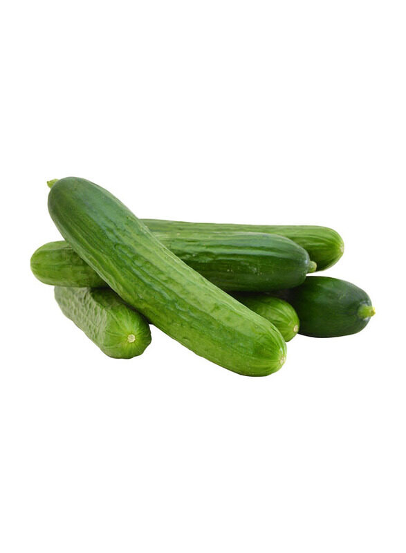 

Desert Fresh Cucumber UAE, 1 Kg