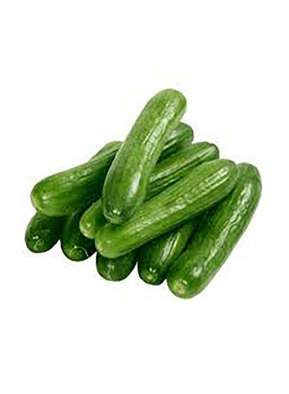 

Desert Fresh Cucumber UAE, 3 Kg