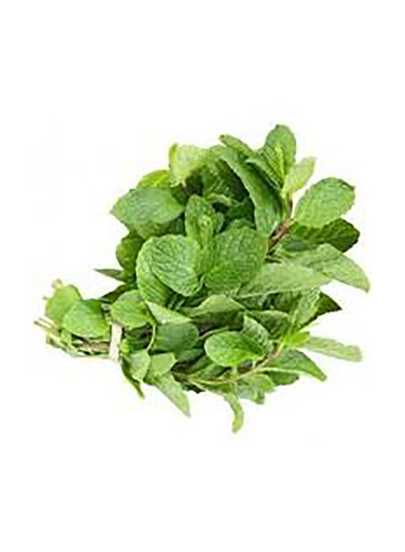 

Desert Fresh Mint Leaves UAE, 100g