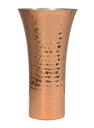 Sekura 2-Piece 380ml Copper Beer Cup Glass, Copper