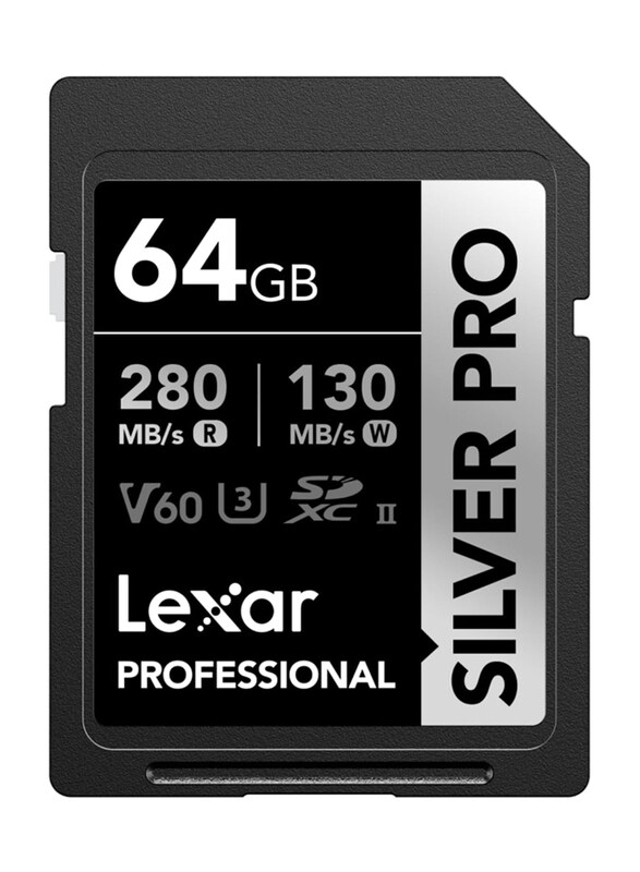 

Lexar 64GB Silver Pro SD Card, Black