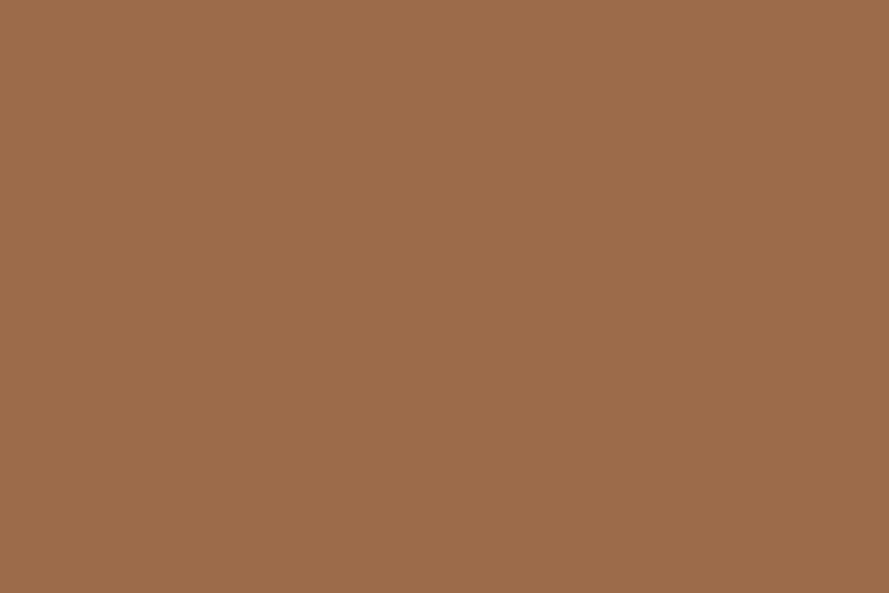 Promage PM-PB67 Seamless Photography Backdrop Background Paper, 2.72m x 10m, Nutmeg Brown