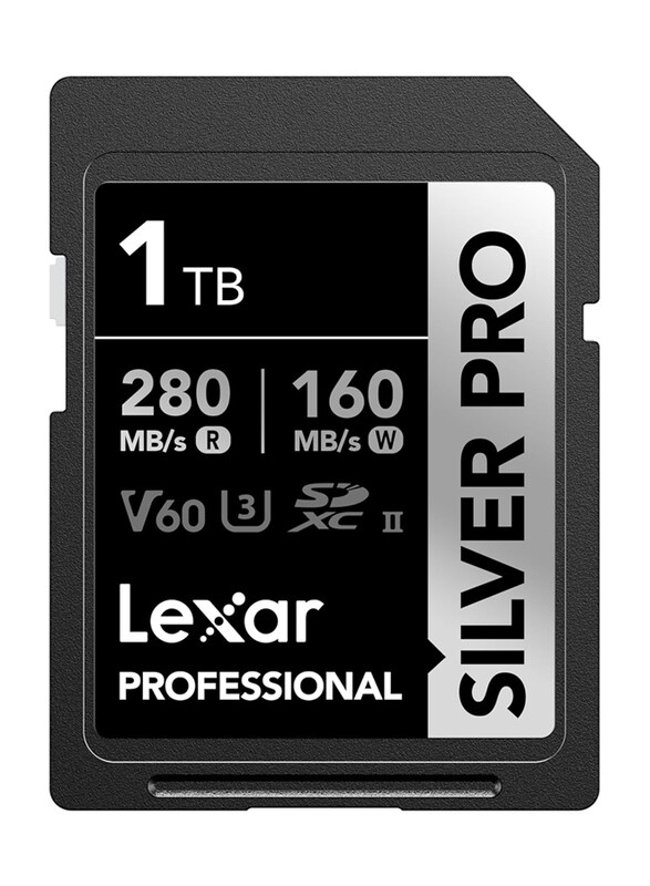 

Lexar 1TB Professional Silver PRO SDXC Memory Card, Black