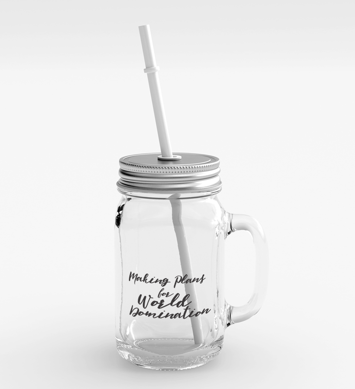 

Loud Universe Clear Glass Mason Jar with Lid/Straw - Making Plans Party Favour