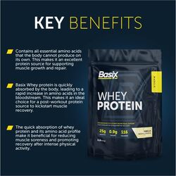 Basix Whey Protein 1lb Vanilla Whip Flavor