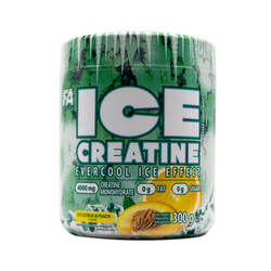 Fa Ice Creatine 60 Servings Icy Citrus and Peach 300g