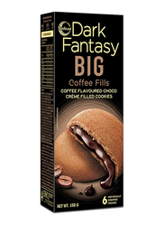 Sunfeast Dark Fantasy Big Coffee Fills Cookies, 150g