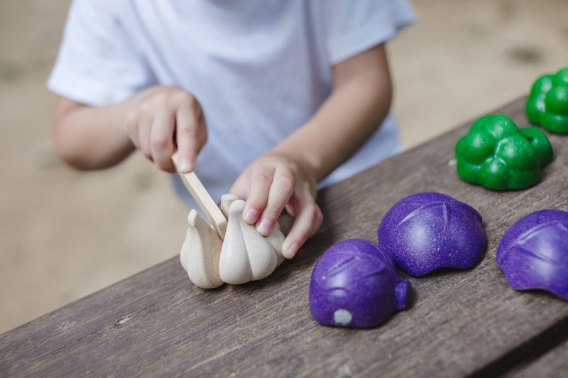 Plantoys 5 Colors Veggie Set, 6 Pieces, Ages 18+ Months