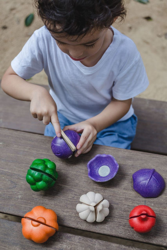 Plantoys 5 Colors Veggie Set, 6 Pieces, Ages 18+ Months