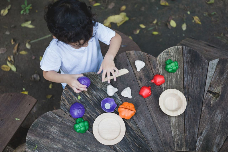 Plantoys 5 Colors Veggie Set, 6 Pieces, Ages 18+ Months