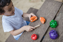 Plantoys 5 Colors Veggie Set, 6 Pieces, Ages 18+ Months