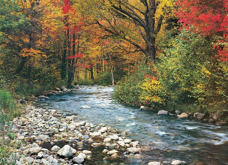 Eurographics 1000-Piece Forest Stream Puzzle