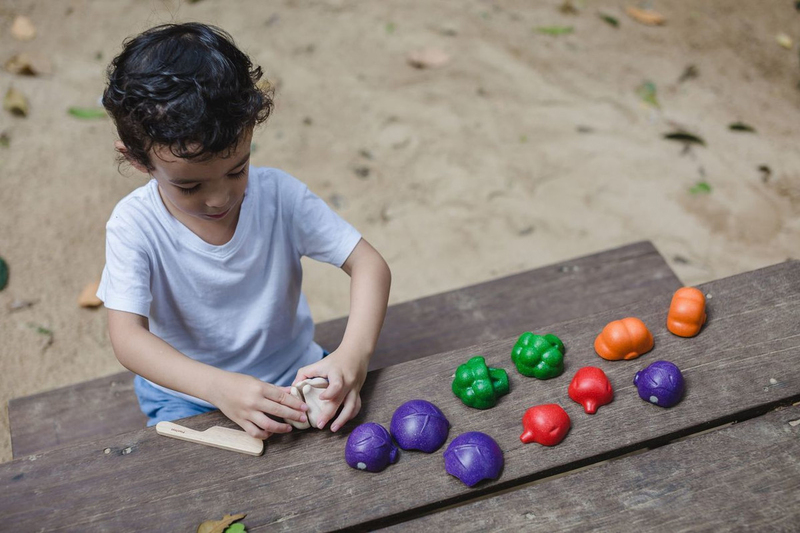 Plantoys 5 Colors Veggie Set, 6 Pieces, Ages 18+ Months