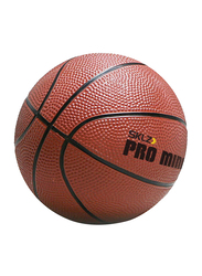 SKLZ Size-5 Pro Mini Hoop Ball, Orange