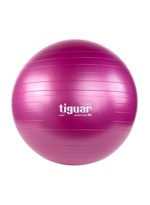 Tiguar Safety Plus Gym Ball, 65cm, Purple