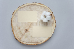 Makito 4-Piece Natural Pine Wood Tea Coaster Set, Brown