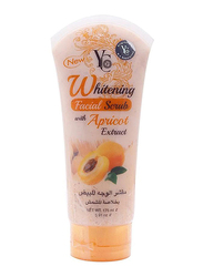 YC Whitening Facial Scrub with Apricot Extract, 175ml