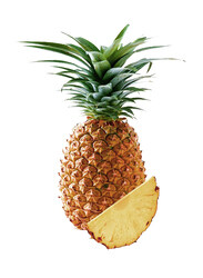 Fruits Garden Pineapple, 1 Piece