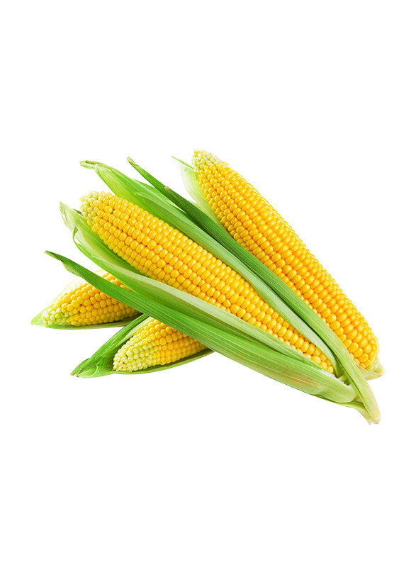 

Fruits Garden Fresh Sweet Corn, UAE, 500g