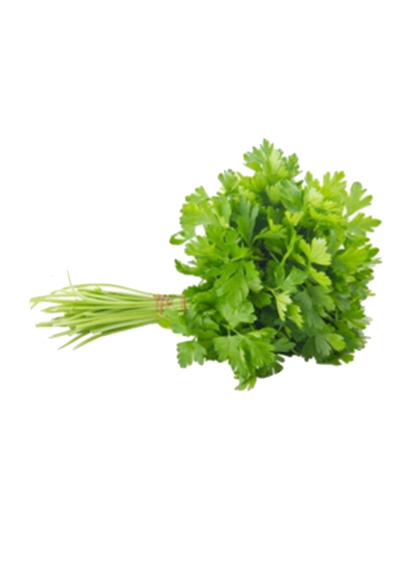 

Fruits Garden Fresh Parsley, Oman, 100g