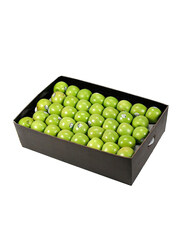 Fruits Garden Fresh Green Apple, South Africa, 18Kg