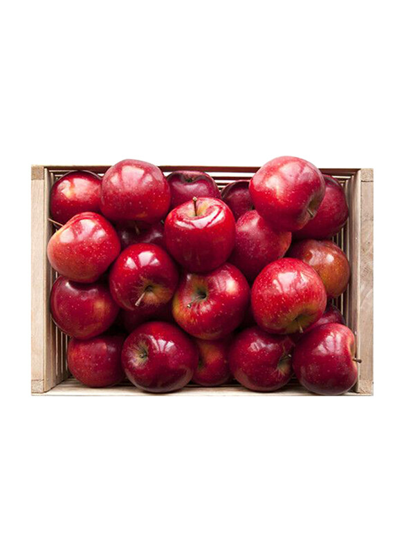 

Fruits Garden Fresh Red Apple, South Africa, 18Kg