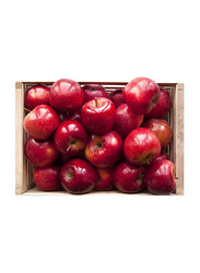 Fruits Garden Fresh Red Apple, South Africa, 18Kg