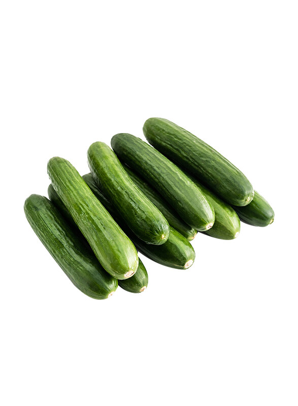 

Fruits Garden Cucumber Iran, 500g