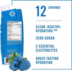 BioSteel Sports Drink, Sugar-Free with Essential Electrolytes, Blue Raspberry, 500ml, 12-Pack