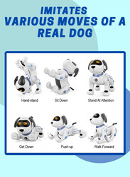 FITTO RC Robot Pet Dog Multifunctional for Kids, Programmable Voice Control Handstand Pet, Interactive Smart Robot Dogs, White