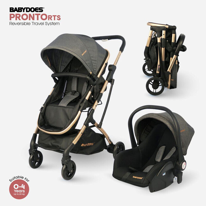 

BABYDOES PRONTO RTS - Reversible Travel System, 5-Point Harness, Infant Carrier (car seat/rocking chair), Adjustable Backrest & Footrest, for 0-4 year