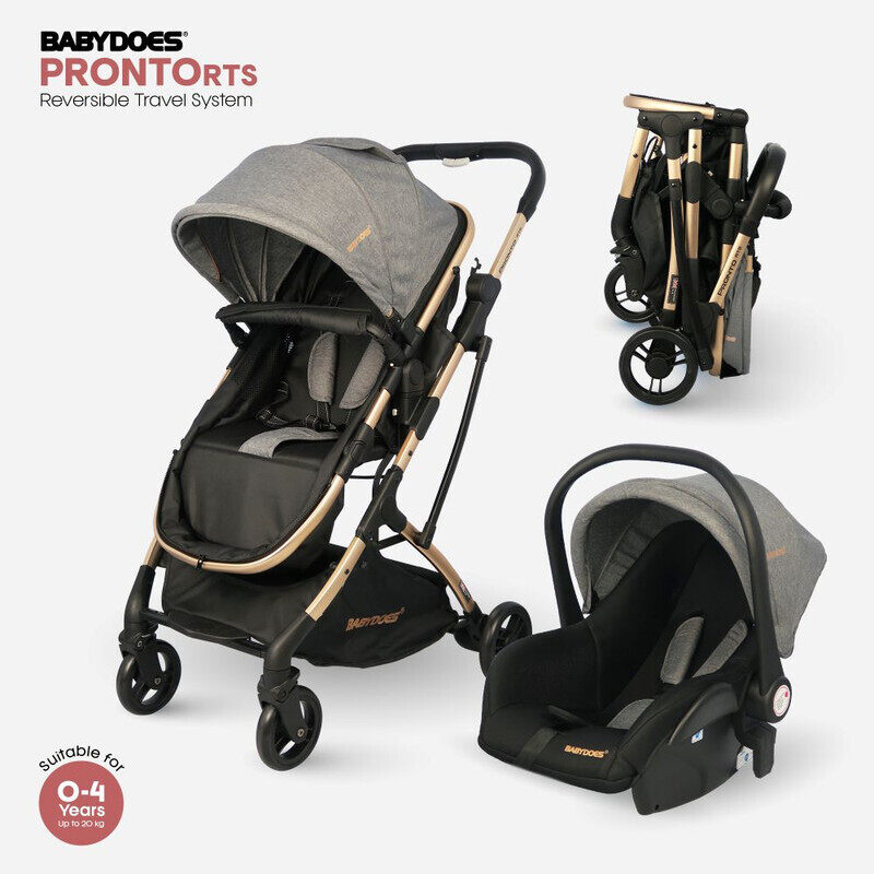 

BABYDOES PRONTO RTS - Reversible Travel System, 5-Point Harness, Infant Carrier (car seat/rocking chair), Adjustable Backrest & Footrest, for 0-4 year