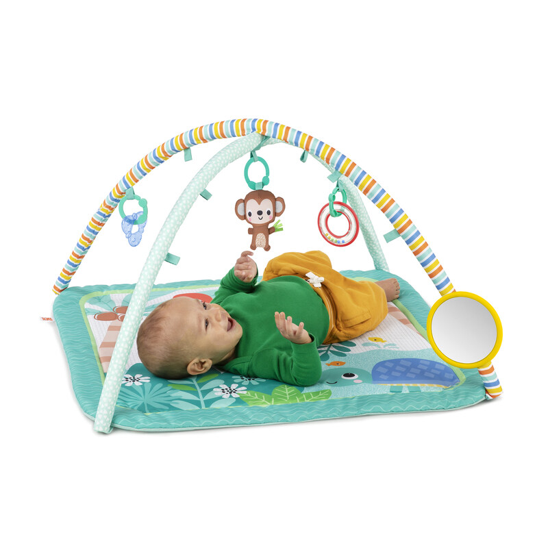 

BRIGHT STARTS ACTIVITY GYM: PALM PARTY