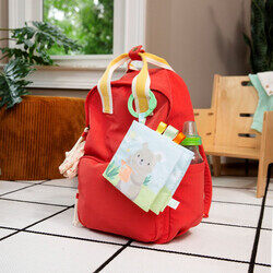 Ingenuity - ITY by Ingenuity Soft Book, BPA Free, Ideal for Stroller Handles and Diaper Bags, Ages 0 Months and Up- Nate