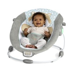 INGENUITY INLIGHTEN BOUNCER: KITT