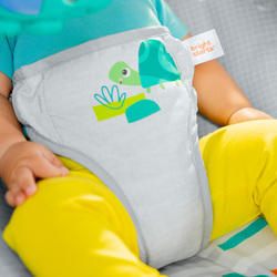 BRIGHT STARTS VIBRATING BOUNCER: PLAYFUL PARADISE