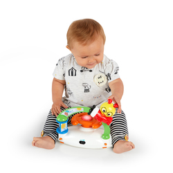 BABY EINSTEIN WALKER: SKY EXPLORERS