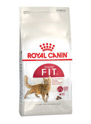 Royal Canin Regular Fit 32 Feline Health Nutrition Adult Cat Dry Food, 1-10 Years, 400g