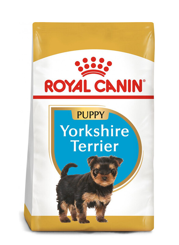 

Royal Canin Yorkshire Terrier Dry Puppies Food, Up to 10 Months, 1.5 Kg