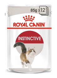 Royal Canin Instinctive Adult Jelly Wet Cat Food, 12 x 85g