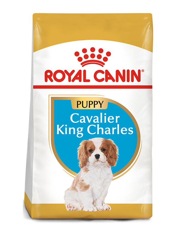 

Royal Canin Junior Cavalier King Charles Dry Dog Food, Up to 10 Months, 1.5 Kg